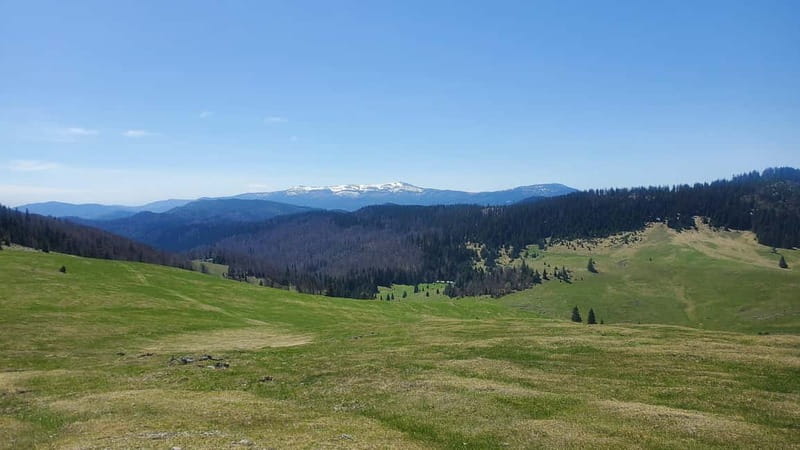From Oradea: Apuseni Mountains Guided Hiking Tour - Key Points