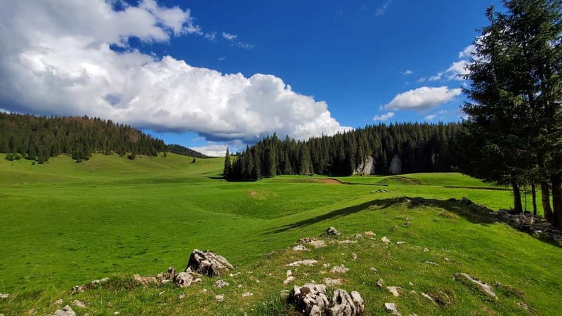From Oradea: Apuseni Mountains Guided Hiking Tour - Explore the Route: From Padis Plateau to the Ponor Plain