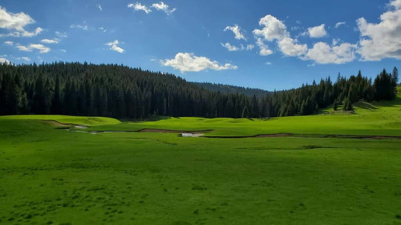 From Oradea: Apuseni Mountains Guided Hiking Tour - The Guide and Tour Experience