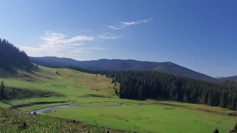From Oradea: Apuseni Mountains Guided Hiking Tour - Why Choose This Guided Hiking Tour in the Apuseni Mountains?