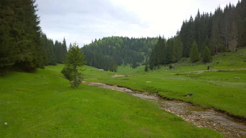 From Oradea: Apuseni Mountains Guided Hiking Tour - Final Thoughts on the Apuseni Mountains Guided Hiking Tour