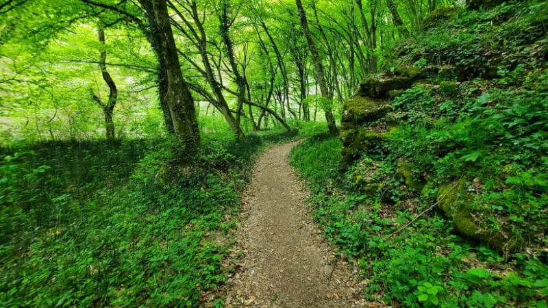 From Oradea: Gorges of Crisul Repede River - Why This Tour Stands Out in Bihor County