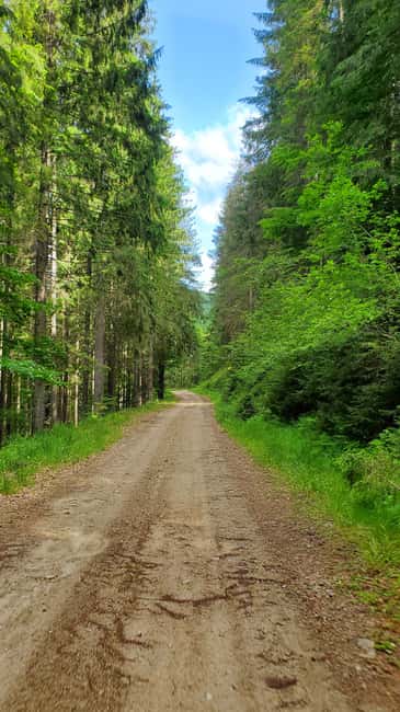 From Oradea: Mountain Bike around Lake Dragan - What You Get for $116: A Day of Mountain Biking and Scenic Views