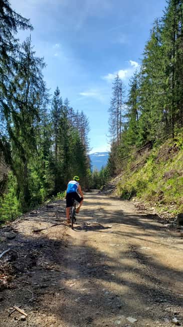 From Oradea: Mountain Bike around Lake Dragan - From Forest Trails to Lake Views: The Scenic Stops