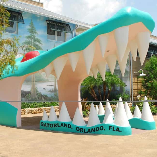 From Orlando: SeaWorld and Clearwater Beach 5-Day Group Tour - Visiting SeaWorld Orlando: Marine Life and Thrilling Rides