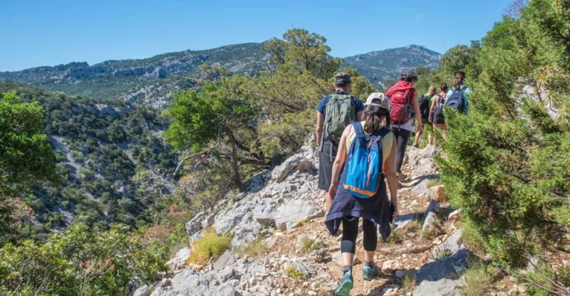 From Orosei/Dorgali: Hike to Cala Luna - Guided Day Trip - Discover Sardinia’s Coastal Beauty on a Guided Hike to Cala Luna