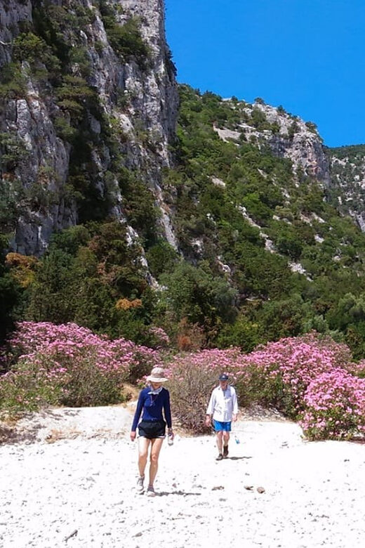 From Orosei/Dorgali: Hike to Cala Luna - Guided Day Trip - Key Points