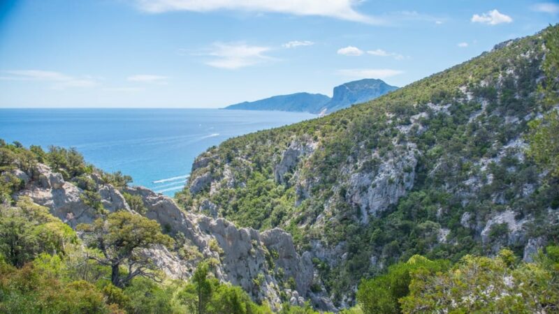 From Orosei/Dorgali: Hike to Cala Luna - Guided Day Trip - Exploring the Codula di Luna Gorge