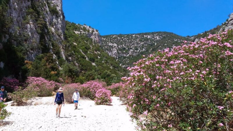 From Orosei/Dorgali: Hike to Cala Luna - Guided Day Trip - Reaching Cala Luna: Caves and Crystal Waters