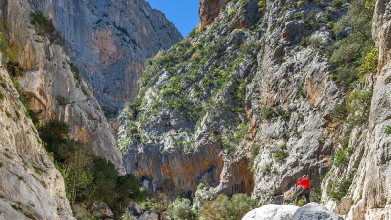 From Orosei or Dorgali: Gorropu Canyon Guided Hike - Key Points