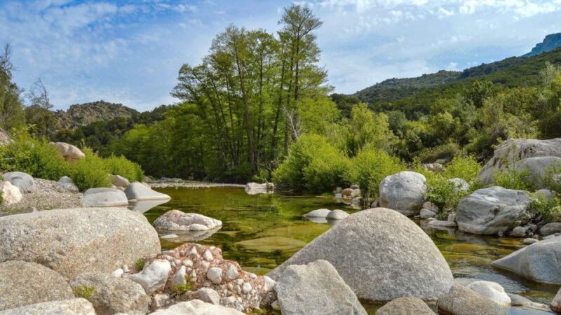 From Orosei or Dorgali: Gorropu Canyon Guided Hike - Learning from the Guides: Flora, Fauna, and Landscape