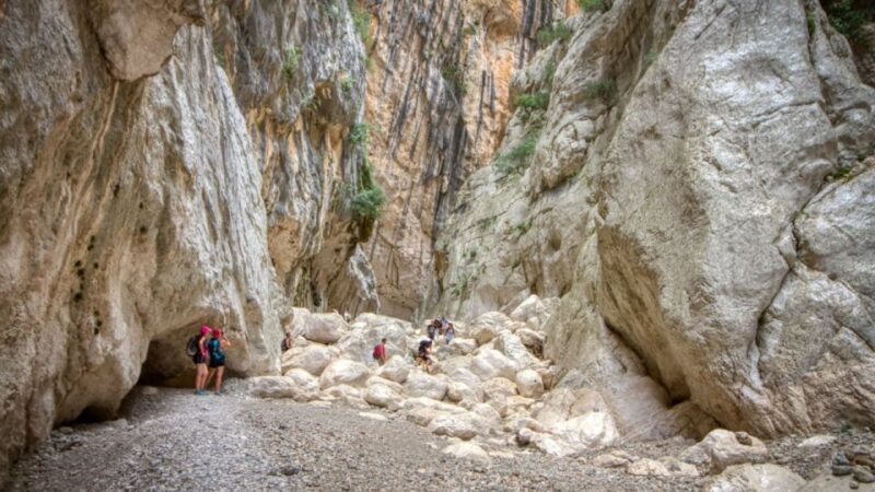 From Orosei or Dorgali: Gorropu Canyon Guided Hike - Navigating the Rocky Terrain: Technical Passages and Breaks
