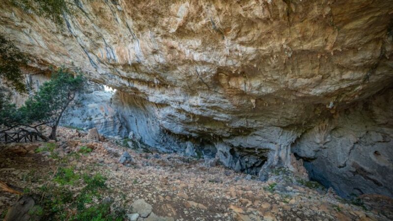 From Orosei or Dorgali: Guided Hike to Tiscali mount - Frequently Asked Questions