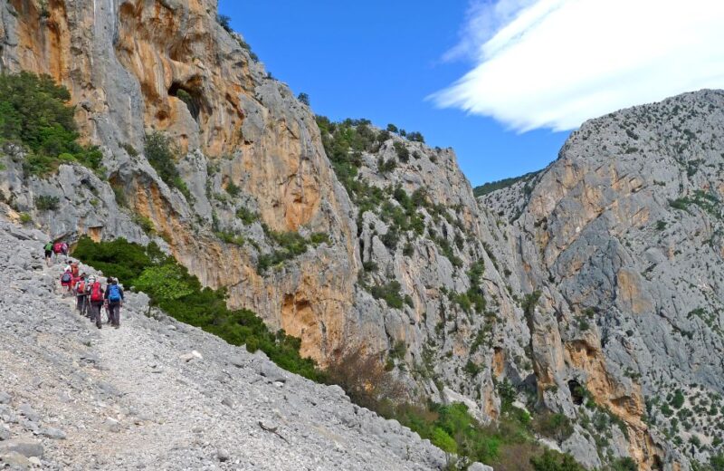 From Orosei or Dorgali: Trek to Gorropu with Panoramic Views - What to Bring and Who Should Avoid This Tour