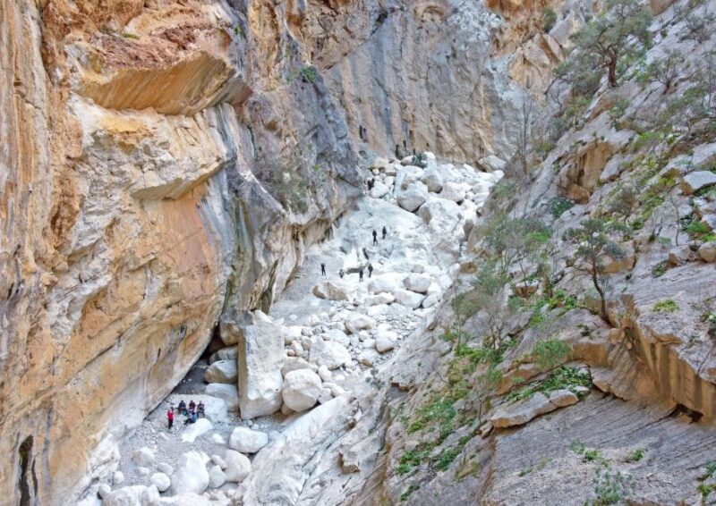 From Orosei or Dorgali: Trek to Gorropu with Panoramic Views - Value and Flexibility: Booking and Cancellation Policies