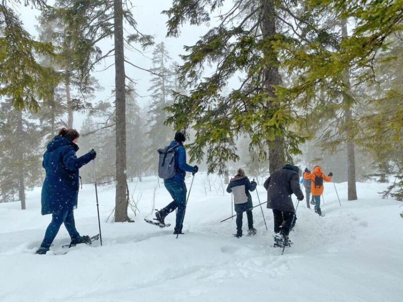From Oslo: Oslomarka Forest Guided Snowshoeing Tour - Who Will Enjoy This Tour Most?