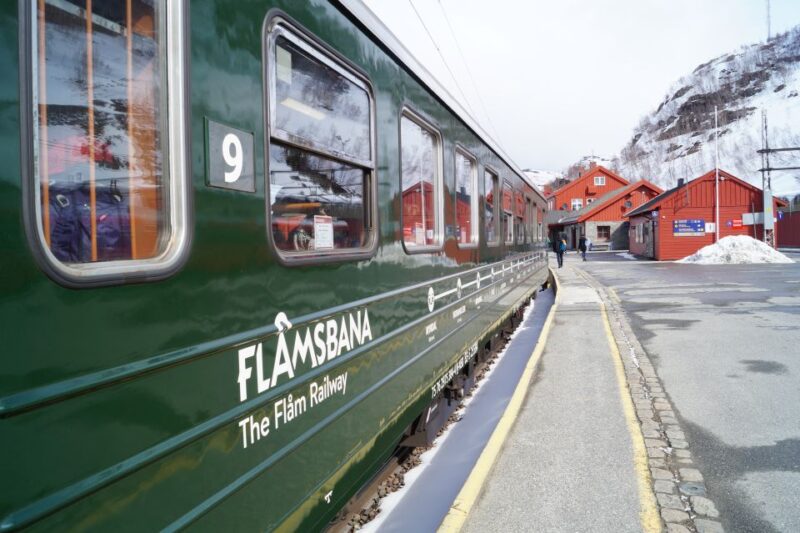 From Oslo: Private Round-Trip Tour to Sognefjord via Flåm - Discover the Beauty of Western Norway on a Private Tour from Oslo