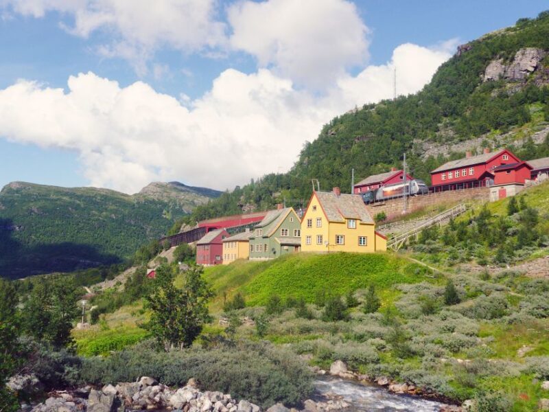 From Oslo: Private Round-Trip Tour to Sognefjord via Flåm - Departure and Pickup Details in Oslo