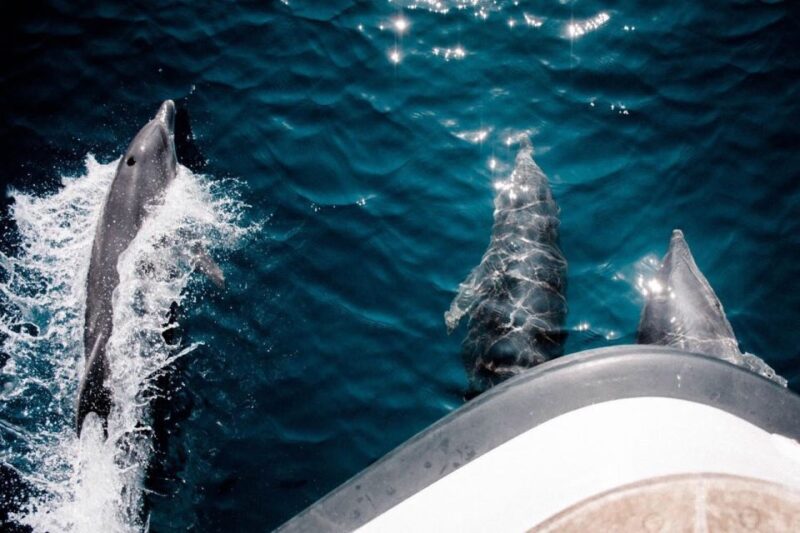 From Ouranoupolis: Cruise to Mount Athos Monasteries - Who Will Appreciate This Tour Most?