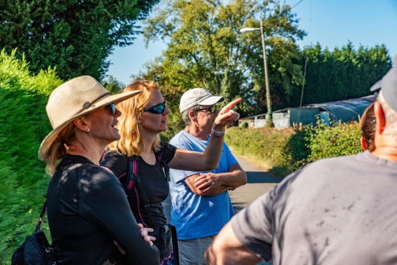 From Oviedo: Half-Day Camino de Santiago Hike - Final Thoughts: An Authentic Camino Experience in Half a Day