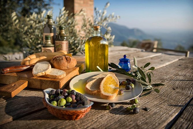 From Padua: Olive Oil & Wine in the Euganean Hills - Explore the Olive Oil & Wine Treasures of the Euganean Hills from Padua