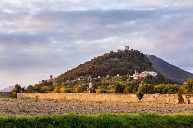 From Padua: Tour to the walled town of Monselice - Visiting the Olive Oil Mill and Tasting Experience