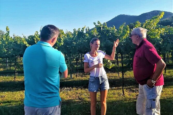 From Padua, Wine Tour in the Euganean Hills - Exploring the Champagne of Prosecco: The Volcanic Roots of Euganean Hills