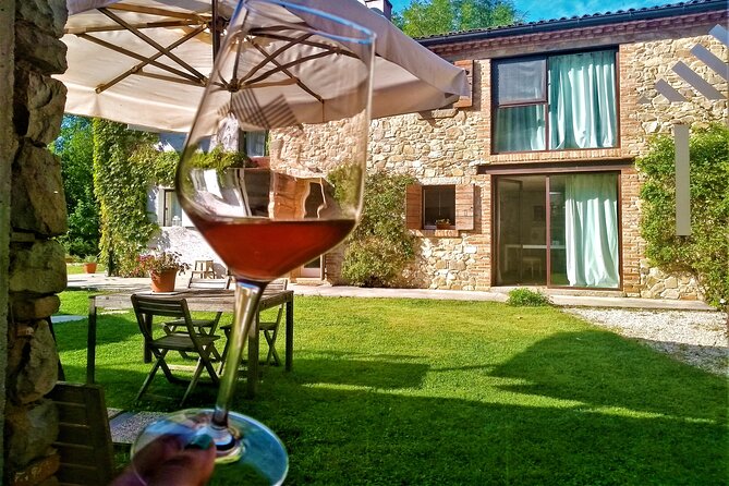 From Padua, Wine Tour in the Euganean Hills - The Quality and Service: Knowledgeable Guides and Positive Feedback