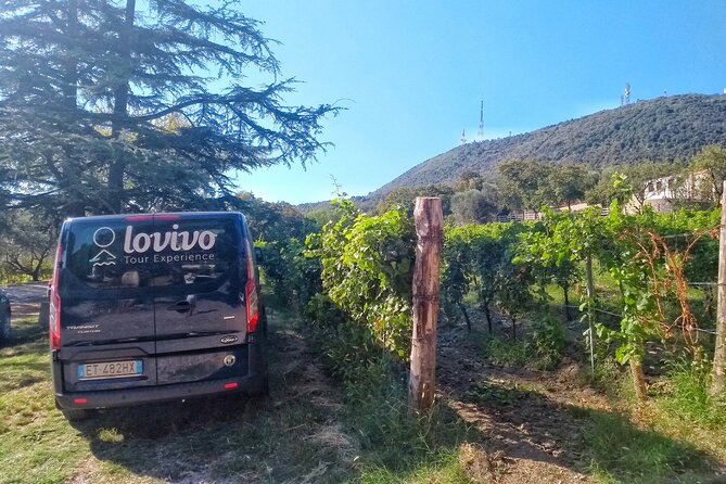 From Padua, Wine Tour in the Euganean Hills - Pricing and Booking Details