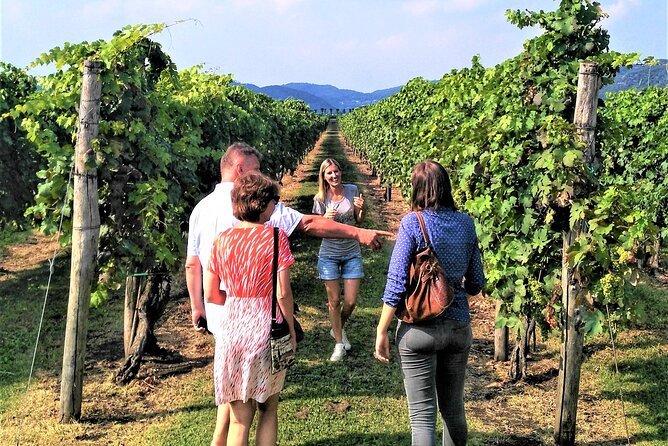From Padua, Wine Tour in the Euganean Hills - Frequently Asked Questions