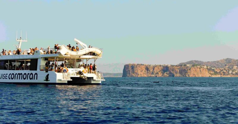 From Paguera: Dolphin Watching Cruise in a Glass-Bottom Boat - Why This Tour Is a Good Choice for Mallorca Visitors