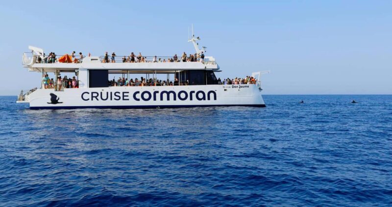 From Paguera: Dolphin Watching Cruise in a Glass-Bottom Boat - Frequently Asked Questions