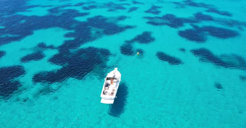 From Palau/La Maddalena: All inclusive Yacht Tour - Entertainment, Atmosphere, and Guest Experience