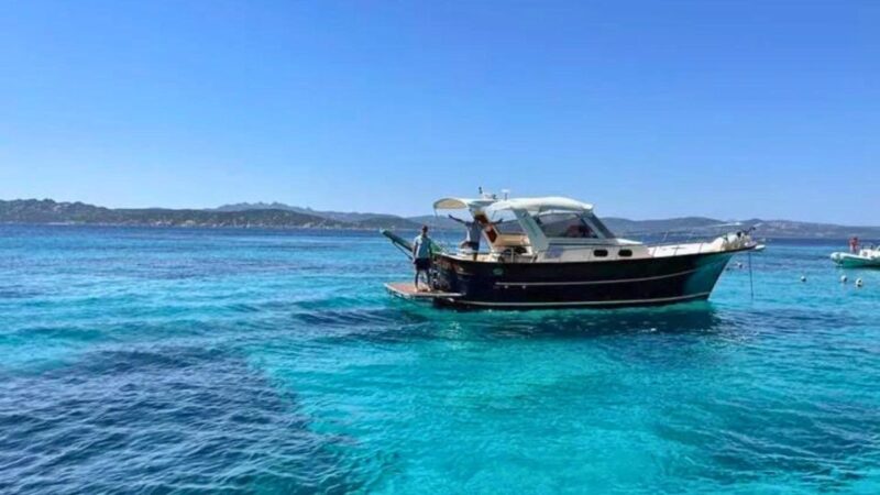 From Palau: South Corsica Trip by Wood Speedboat with Lunch - Lunch on Board: Fresh Fish and Local Produce