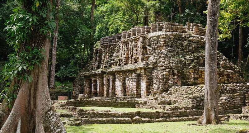 From Palenque: Bonampak & Yaxchilán - Discover the Ancient Maya Marvels of Chiapas