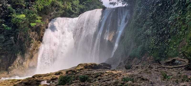 From Palenque: El Salto Waterfall Private Tour - How the Guide Enhances the Experience