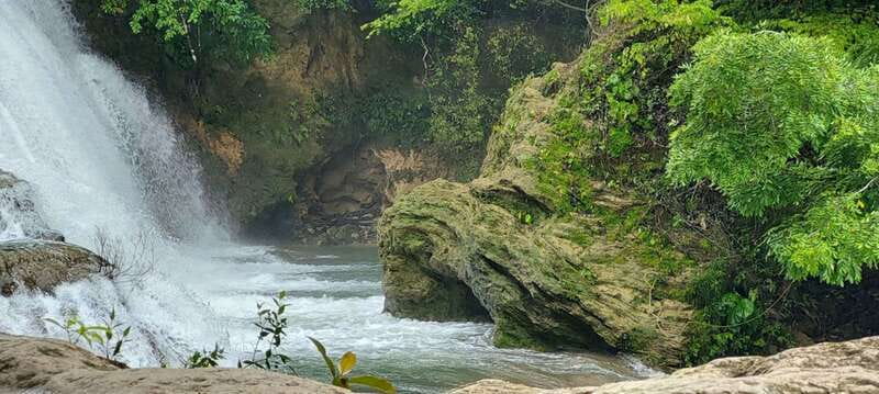 From Palenque: Palenque and Roberto Barrios Waterfalls Tour - How This Tour Compares to Similar Experiences