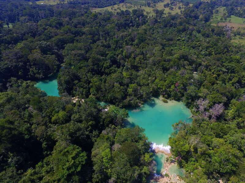 From Palenque: Palenque Ruins and waterfalls Roberto Barrios - Costs and Value for Money