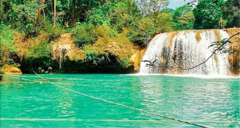 From Palenque: Roberto Barrios Waterfalls Excursion - Pickup and Drop-off Arrangements in Palenque