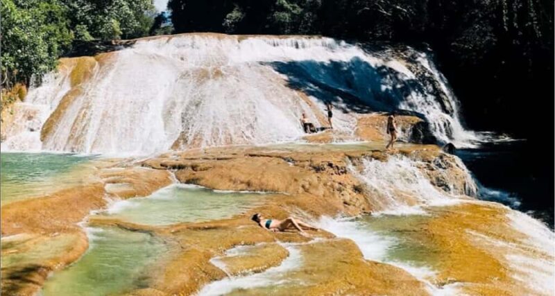 From Palenque: Roberto Barrios Waterfalls Excursion - The Refreshing Pools: A Clear Water Sanctuary