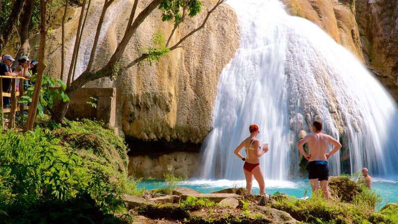 From Palenque: Roberto Barrios waterfalls - Practical Details: Pickup, Tickets, and Cancellation
