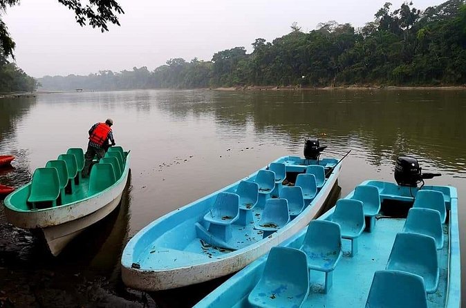 From Palenque to Bonampak - Yaxchilan Selva 1 day - Lunch and Afternoon Relaxation with Included Meals