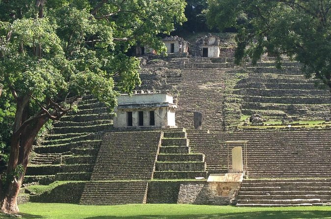 From Palenque to Bonampak - Yaxchilan Selva 1 day - Return Journey and Evening Drop-off in Palenque