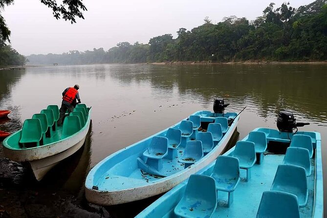 From Palenque to Bonampak - Yaxchilan Selva 1 day - Practical Details and Booking Information