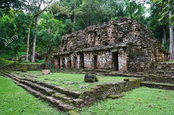 From Palenque to Bonampak - Yaxchilan Selva 1 day - Comparing with Similar Tours