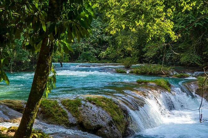 From Palenque to Zona Arq. De Palenque, Misol Ha and Agua Azul - Comfortable Transportation and Practical Details