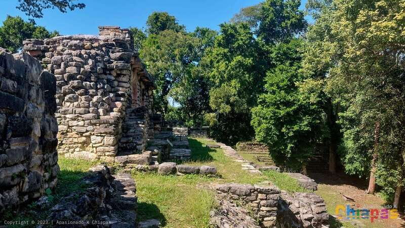 From Palenque: Yaxchilán and Bonampak Tour - The Experience: Unique Access and Guided Insights