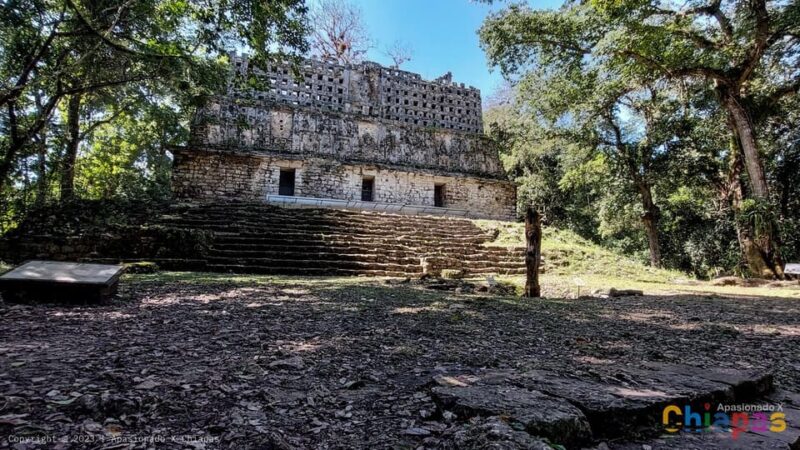 From Palenque: Yaxchilán and Bonampak Tour - Frequently Asked Questions