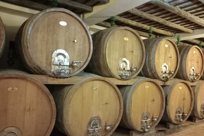 From Palermo Sicilian Retreat Erice & Marsala Tour with Lunch - Practical Tips for the Tour Day