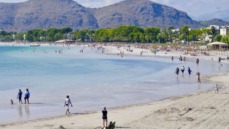 From Palma: Alcudia Town and Port de Pollença Guided Tour - Key Points